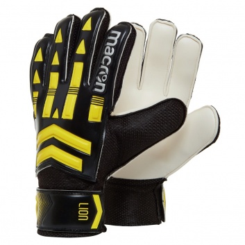 LION XF gloves