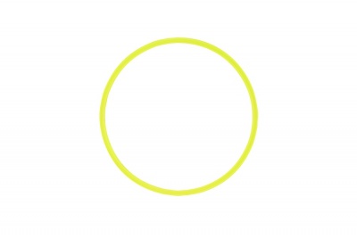 SPEED RING